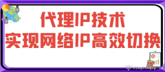 代理IP技术实现网络IP高效切换