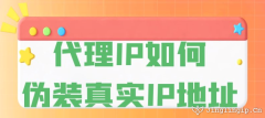 代理IP如何伪装真实IP地址